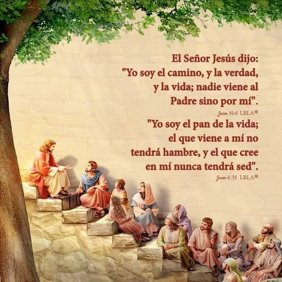pinedapineda798